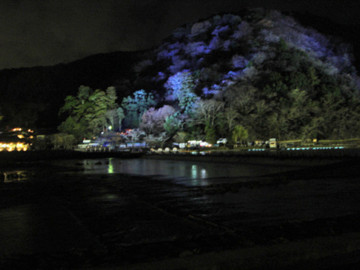 京都　嵐山　花灯路2008