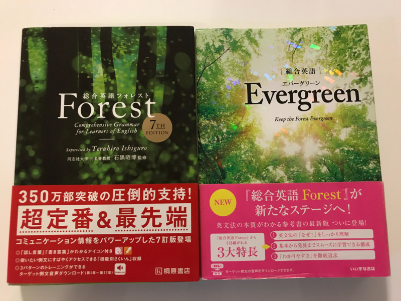 Evergreen-Forest.jpg