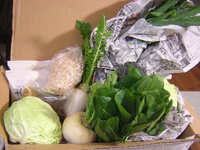野菜など(2010/01/05)