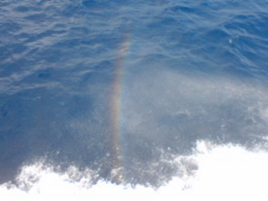 海の虹