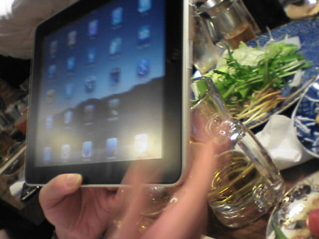 iPad Wi-Fi model