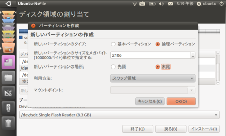 Ubuntu 10.10 Installl Disk Partition Swap Area