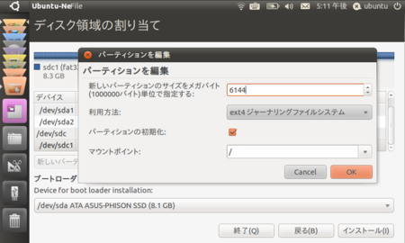 Ubuntu 10.10 Installl Disk Partition OS Area
