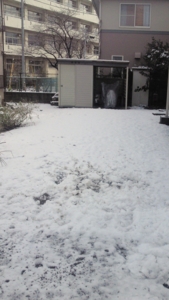雪が積もった庭～その1～