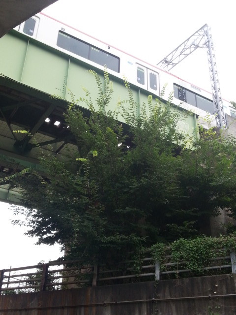 20150816_101522 秋葉地下道 - 常滑線あがり電車