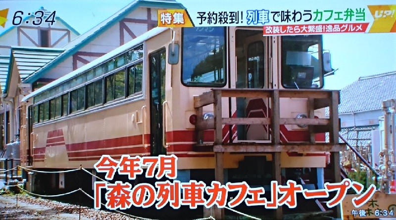 2016.10.31 もりの列車カフェ (2)