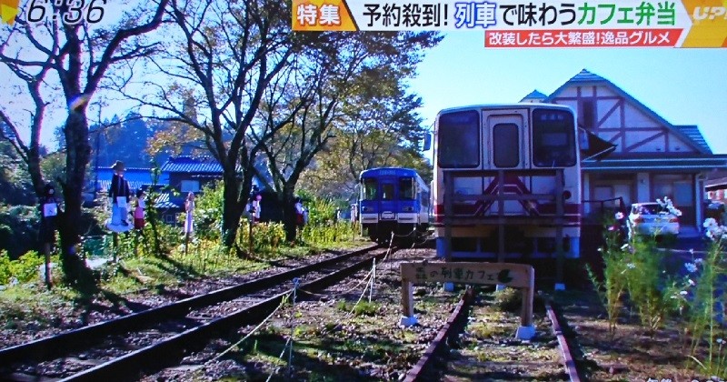 2016.10.31 もりの列車カフェ (11)