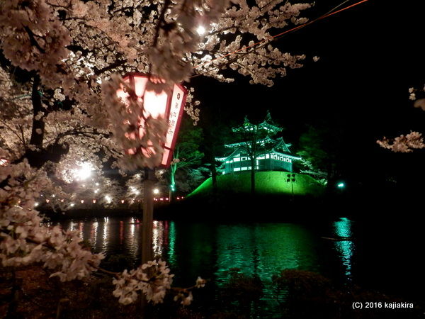 高田公園の夜桜（上越市本城町44-1）2016年04月