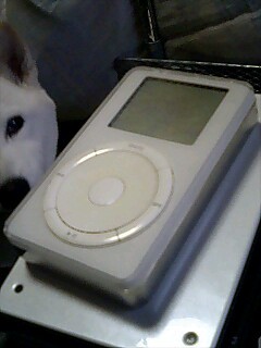 1st iPod