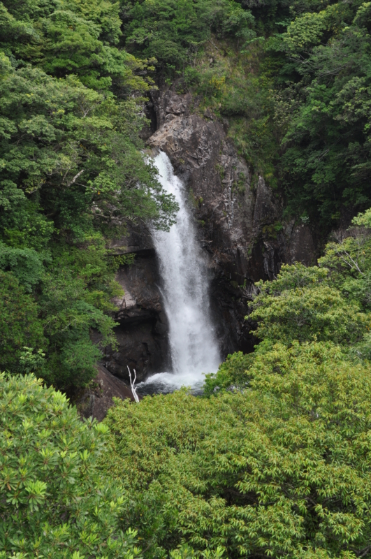[2013-05-18][竜神の滝][屋久島][滝]