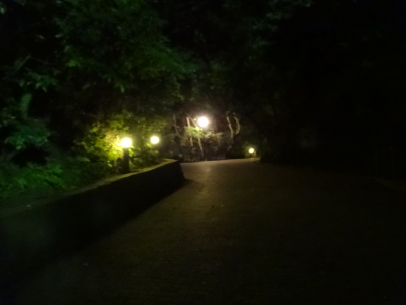 [2013-05-18][夜景][鹿児島][城山展望台]