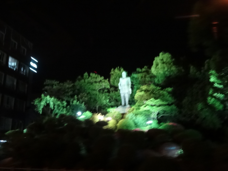[2013-05-18][夜景][鹿児島][西郷隆盛]