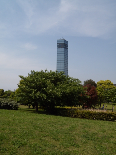 芝生広場から見るポートタワー