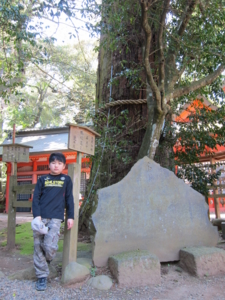 鹿島神宮　芭蕉句碑　と　二郎杉