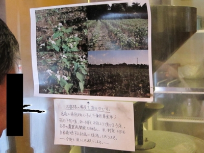 東金の蕎麦畑と自家栽培宣言