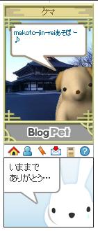 Blog Petのクマ