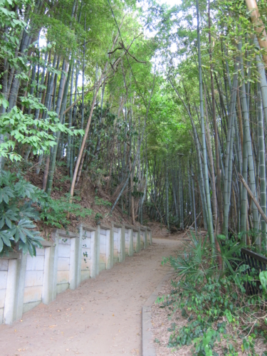 武石神社に通じる竹林