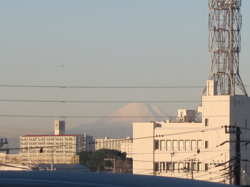 習志野から見えた真っ白な富士山
