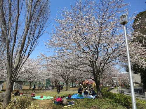 実籾本郷公園1