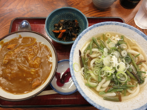 ミニ旨辛カレー丼と山菜うどん[温]セット(750円)