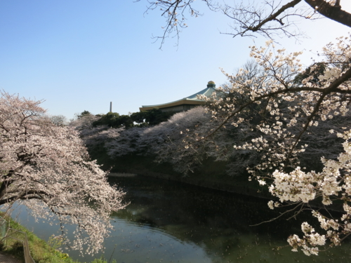 九段下の桜