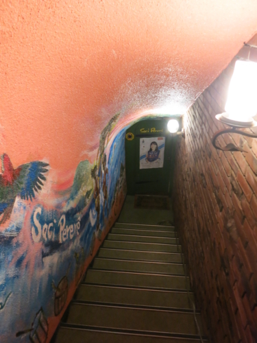 サッシペレレ　Ｂ１入口の階段