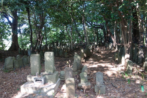 古い墓石群