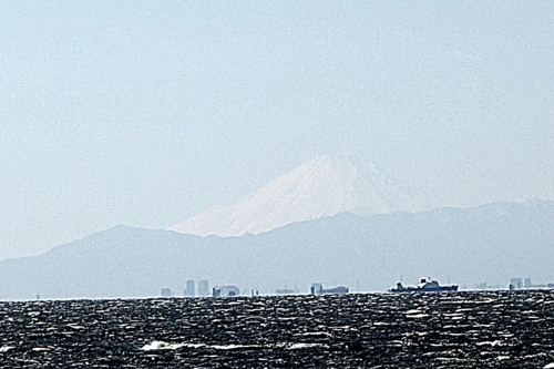 検見川浜からみえた富士山