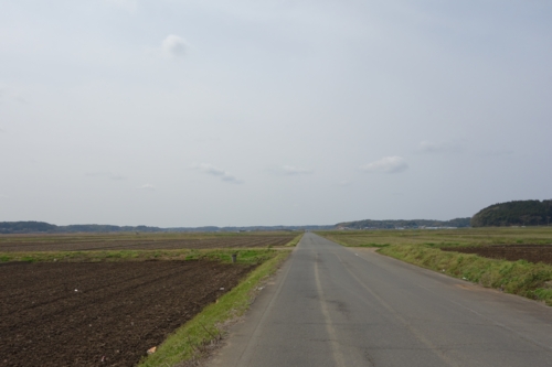 田んぼの真ん中の一本道