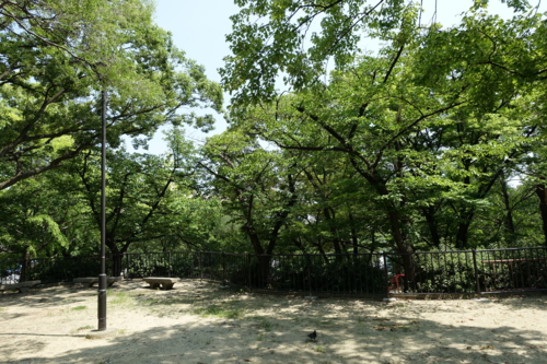 真田山公園2