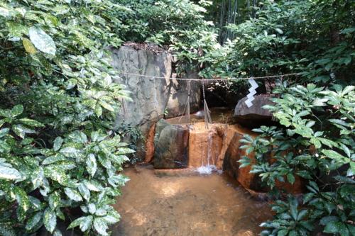生田の森の泉