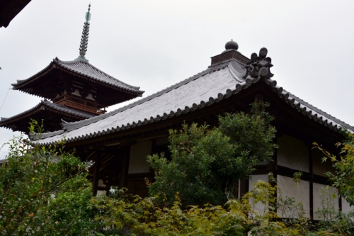 講堂裏から見た日本最古の三重塔