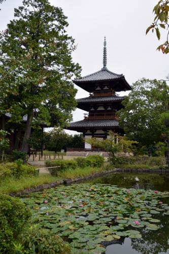 池越しに見た日本最古の三重塔
