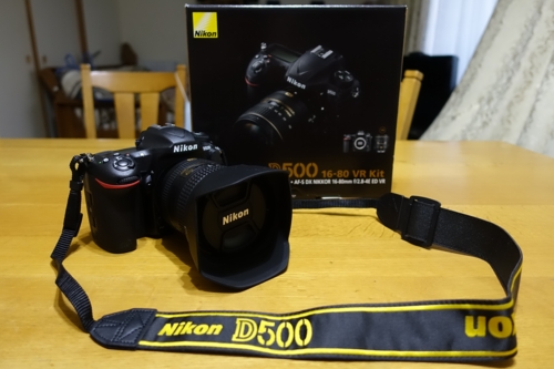 D500 16-80 VR Kit