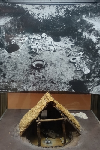 姥山貝塚の人骨五体発掘の復元模型