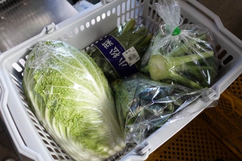 購入した野菜