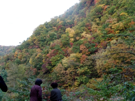 定山渓方面の紅葉（H23年10月12日）