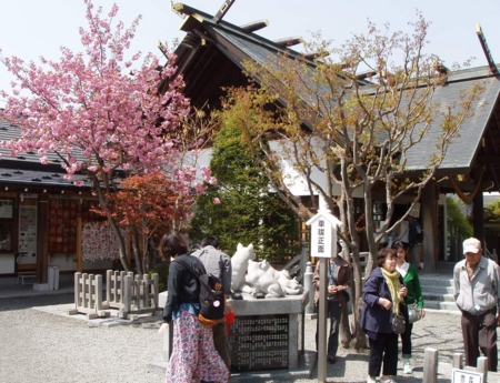 西野神社（札幌近郊桜めぐりツアー）