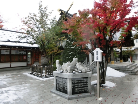 札幌の初雪 （平成28年10月 西野神社境内）