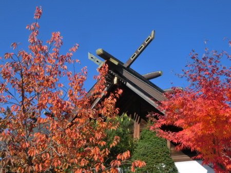 西野神社 秋の風景