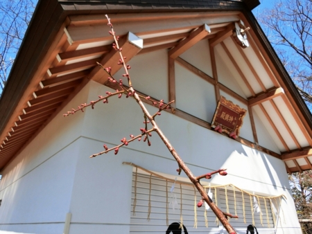 西野神社 春の境内の景色（平成29年5月2日）