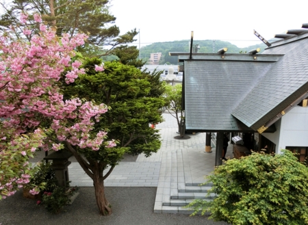 平成29年5月下旬　西野神社境内の風景