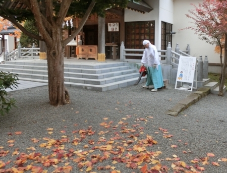 西野神社 秋の境内