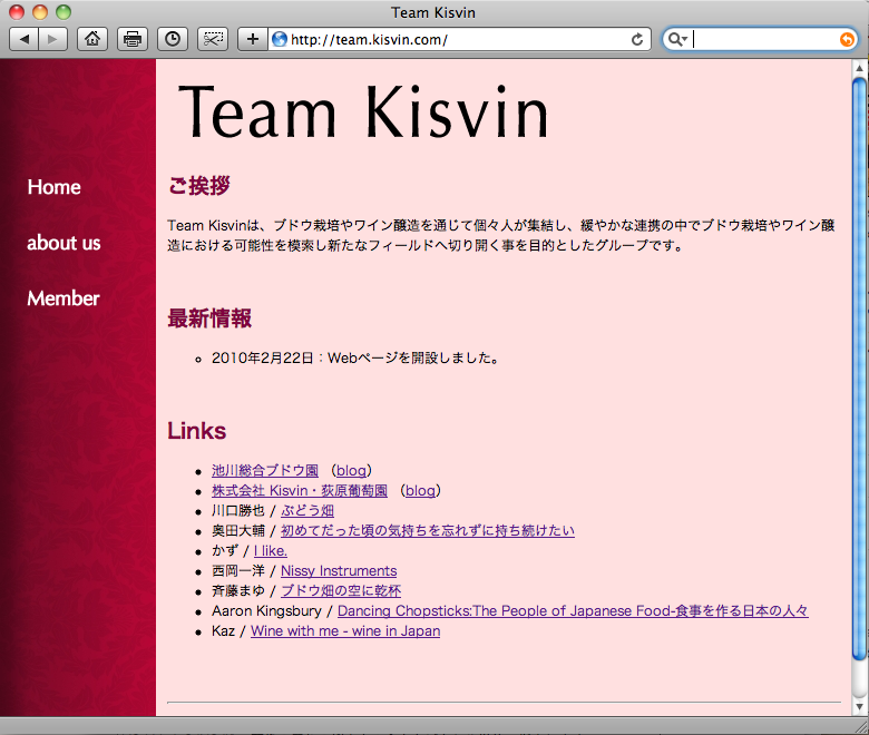 Team Kisvin Web page