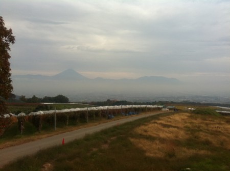 眺望台からの眺め（富士山）＠サントリー登美の丘ワイナリー