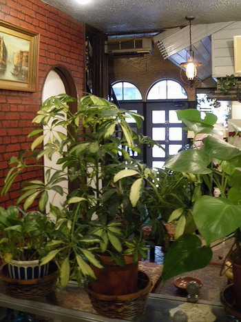 サントス・植物と入口