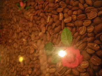 サントス・コーヒー豆と花模様