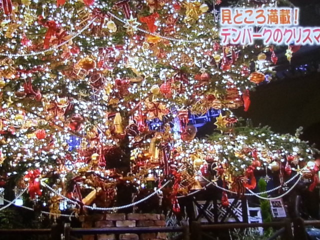 2015.12.24 デンパークのクリスマス♪ (8)