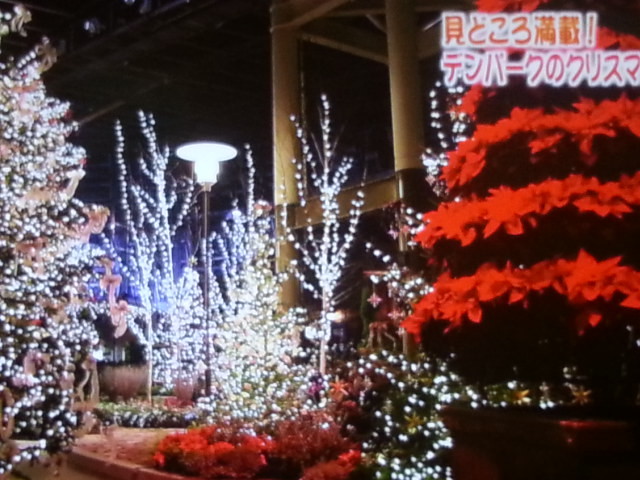 2015.12.24 デンパークのクリスマス♪ (11)